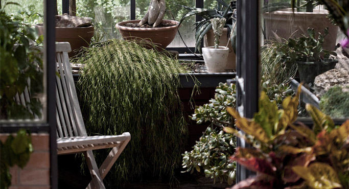 Amenager un jardin d'hiver - Alterego Design