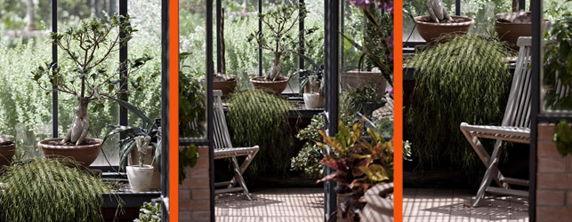 Construire et amenager une veranda type Jardin d’Hiver