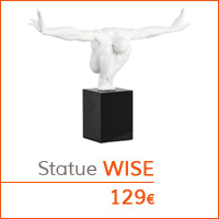 Mobilier de salon - Statue WISE