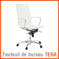 Fauteuil de bureau Alterego - Fauteuil TERA